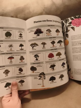La vuelta al mundo en 80 y el libro de los árbol