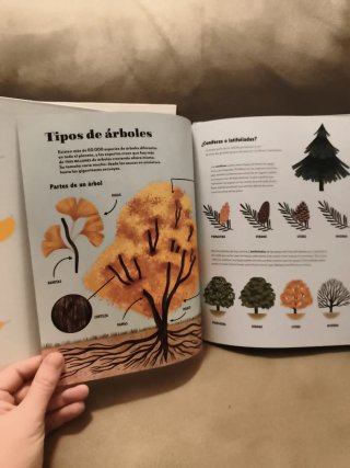 La vuelta al mundo en 80 y el libro de los árbol