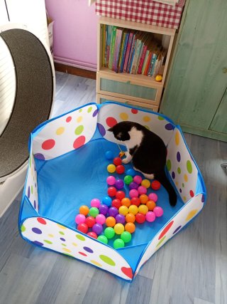 Parque de bolas infantil con pelotas