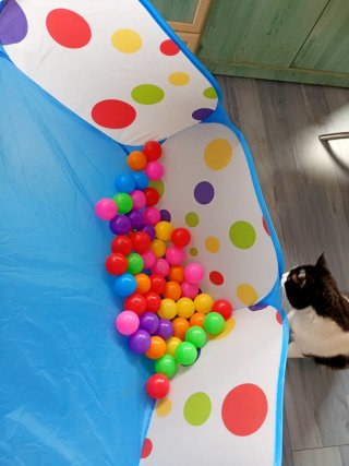 Parque de bolas infantil con pelotas