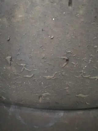 Neumáticos Goodyear Slicks TCR 265/660/18