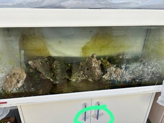 Acuario Eheim Vivaline 240L