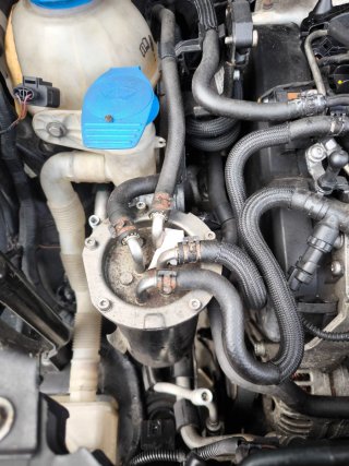 Filtro combustible Coche