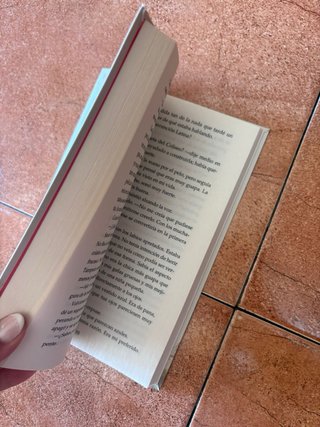 El verano en que me enamoré: Edición limitada a...