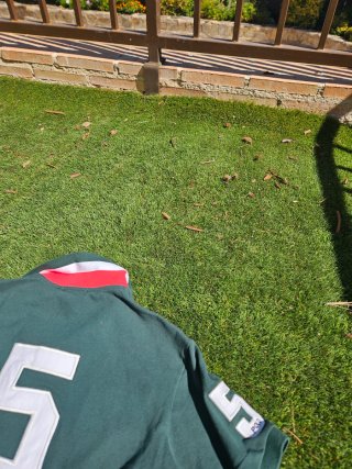 Polo Ralph Lauren verde Milan