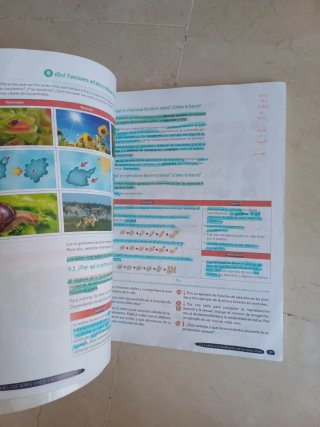 Biología y Geología 1º ESO. Libro del estudiant...
