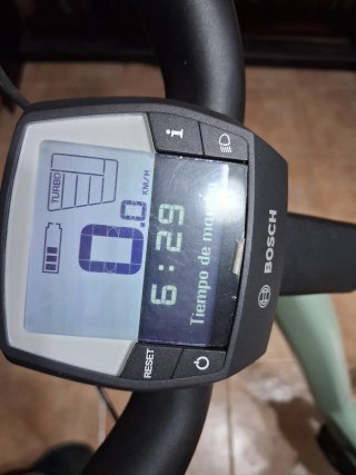 Bicicleta Eléctrica Riese & Müller Swing