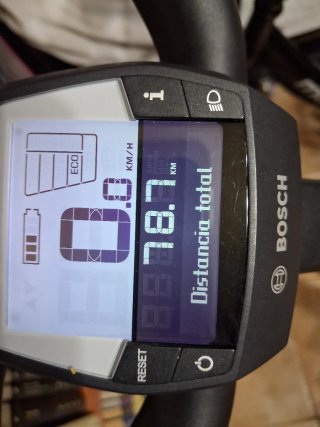Bicicleta Eléctrica Riese & Müller Swing
