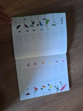 Libro 12 colores lecturas 1° primaria