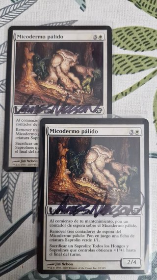 Cartas Magic firmadas - Jim Nelson