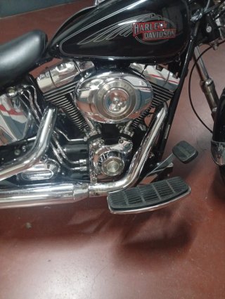 Harley Davidson Softail standard 2009