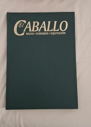 CABALLO, EL