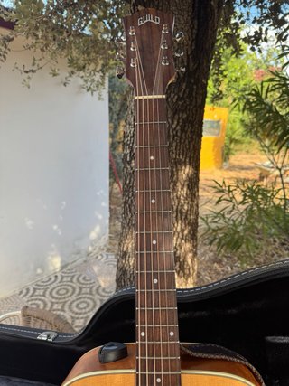 Guild D-240E Flamed Mahogany Guitarra Acústica