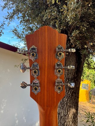Guild D-240E Flamed Mahogany Guitarra Acústica