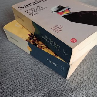 2 novelas contemporáneas (Noah Gordon · Saramago)