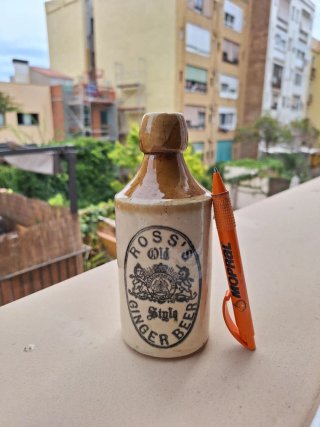 Bottiglie di birra vittoriane del XIX secolo