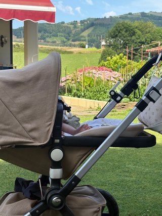 Silla Capazo Bugaboo Camaleon 3 ed. limit. Sahara