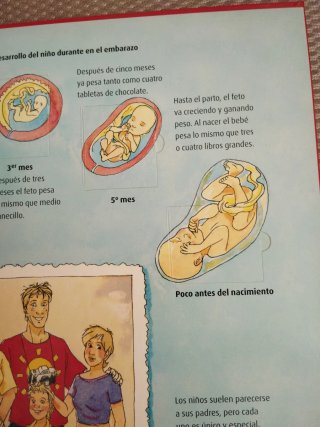 Mi cuerpo. Curiosidades