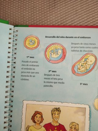 Mi cuerpo. Curiosidades