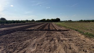 Terreno agrícola riego RAM y motor 2 fanecaes.