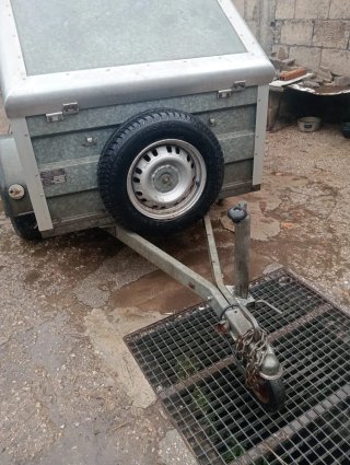 Carro de transporte de perros