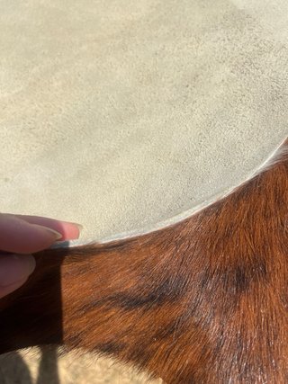 Alfombra al Pelo  autentico Vacuno
