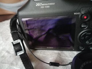Fotocamera Sony DSC-H300