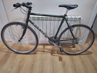 Bicicleta Vintage Verde