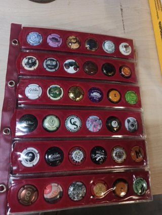 Collezione di tappi di spumante