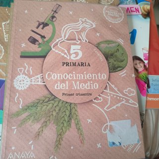 Libros de 5 primaria ANAYA