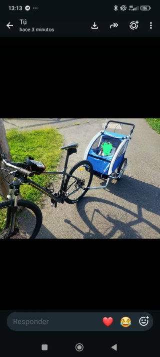 Carrito para 2 niños bici/caminar