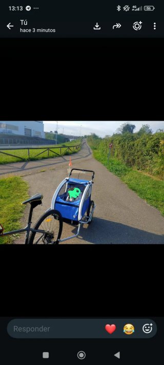 Carrito para 2 niños bici/caminar