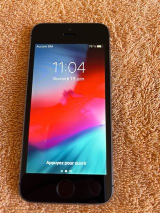 iPhone 5s Space Gray