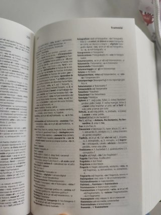 Diccionario italiano