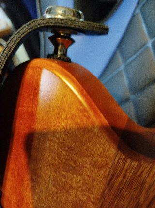 Guitarra eléctrica Godín Radium
