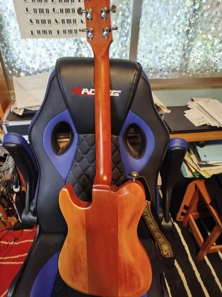 Guitarra eléctrica Godín Radium
