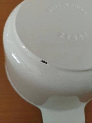 Olla hierro fundido