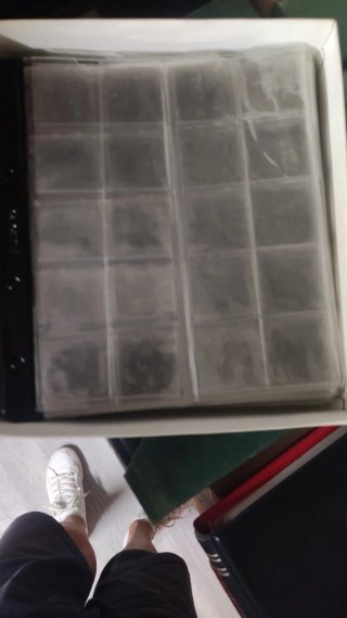 Hojas para monedas