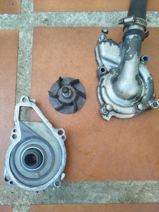 Tapa Bomba Agua Kawasaki ER6N 06-08