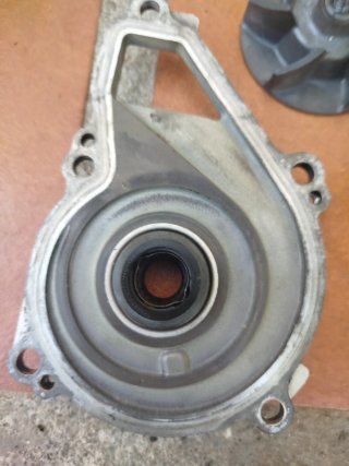Tapa Bomba Agua Kawasaki ER6N 06-08
