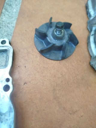 Tapa Bomba Agua Kawasaki ER6N 06-08