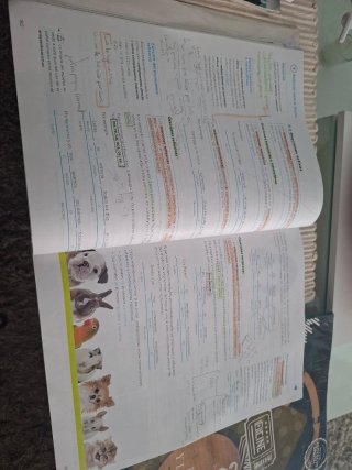 Lengua y Literatura, 2 ESO, Operación mundo