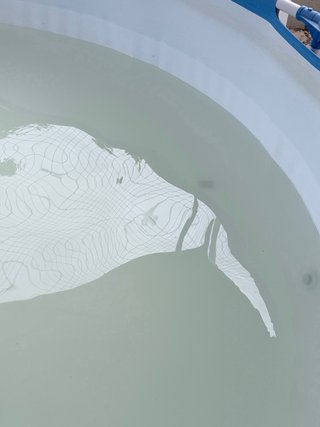 Piscina desmontable 3.05m x 76cm