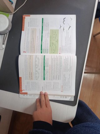 Lengua castellana y Literatura 4.º ESO