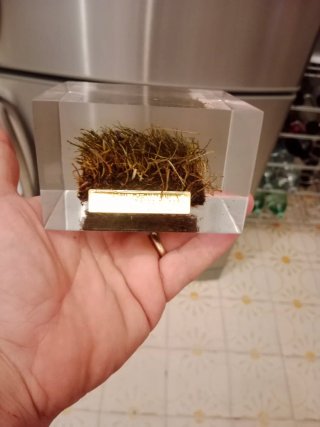 Coppa del mondo 1990