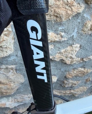 Bicicleta Giant TCR Carbono
