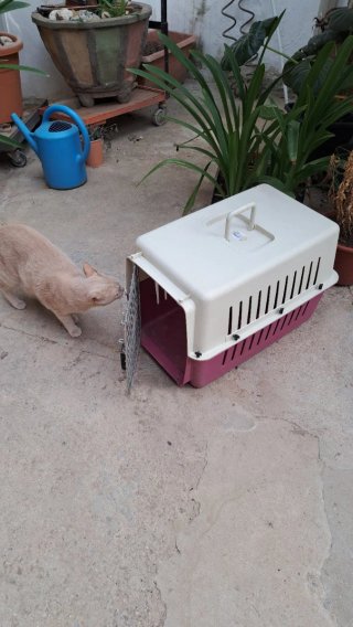Transportin perro/gato
