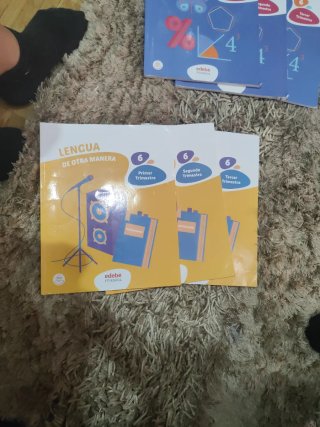 Libros 6 Primaria. se puede vender por separado