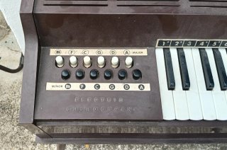 Órgano Magnus Vintage