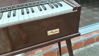 Órgano Magnus Vintage